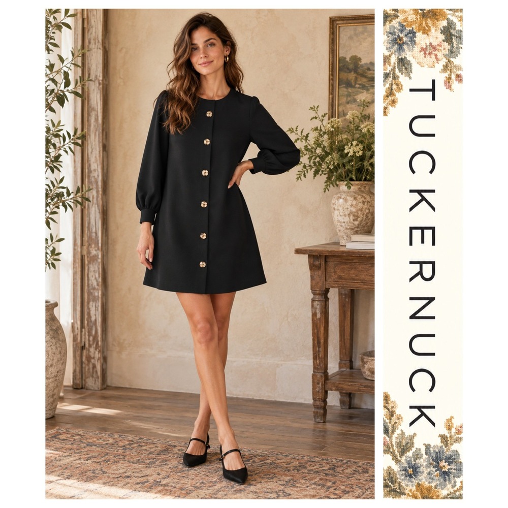 Tuckernuck Blake Black Button Front Long Sleeve Minimalist Shift Mini Dress S